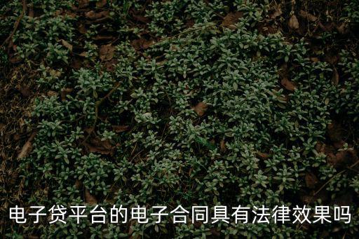 電子貸平臺(tái)的電子合同具有法律效果嗎