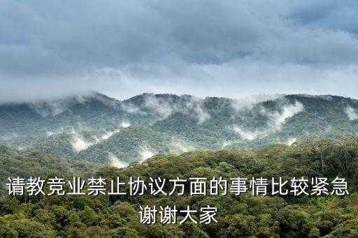 競業(yè)協(xié)議無效的情況，請教競業(yè)禁止協(xié)議方面的事情比較緊急謝謝大家
