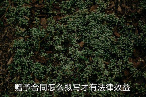 贈(zèng)予合同怎么擬寫才有法律效益
