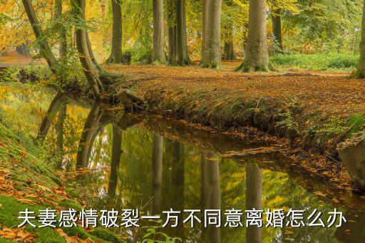 夫妻感情破裂一方不同意離婚怎么辦