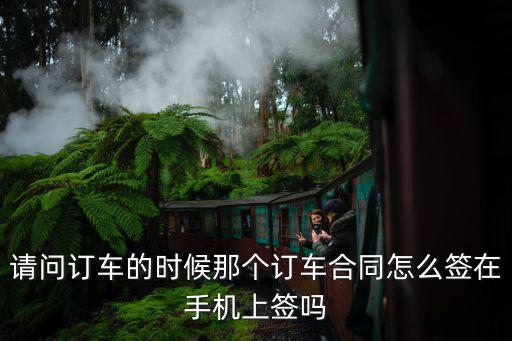 請(qǐng)問訂車的時(shí)候那個(gè)訂車合同怎么簽在手機(jī)上簽嗎