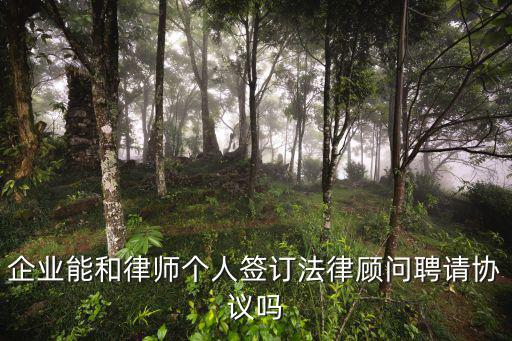 企業(yè)能和律師個(gè)人簽訂法律顧問(wèn)聘請(qǐng)協(xié)議嗎