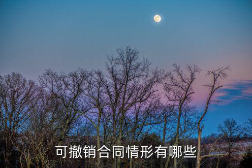可撤銷合同情形有哪些