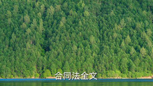 合同法全文