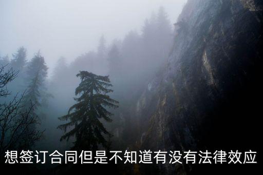 怎么簽無效合同不違法法律，報廢車怎樣簽合同不違法