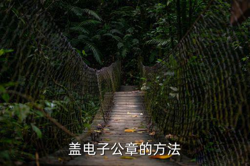蓋電子公章的方法