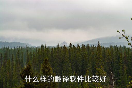 什么樣的翻譯軟件比較好