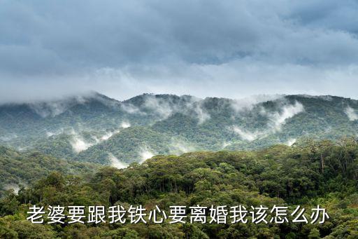 老婆要跟我鐵心要離婚我該怎么辦