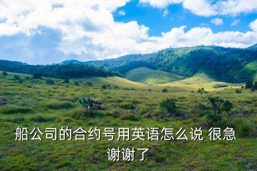 船公司的合約號(hào)用英語(yǔ)怎么說(shuō) 很急 謝謝了