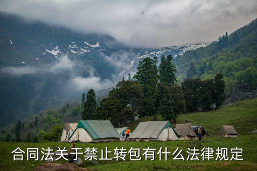 合同法關(guān)于禁止轉(zhuǎn)包有什么法律規(guī)定