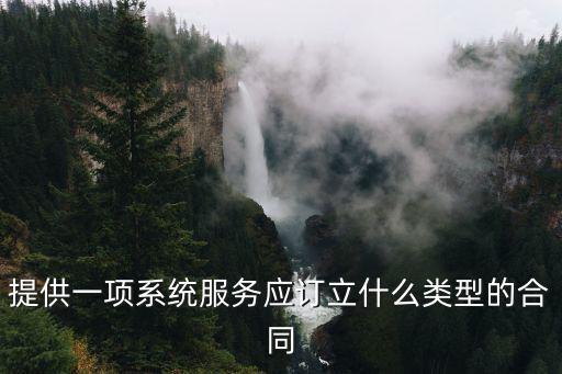 提供一項系統(tǒng)服務(wù)應(yīng)訂立什么類型的合同