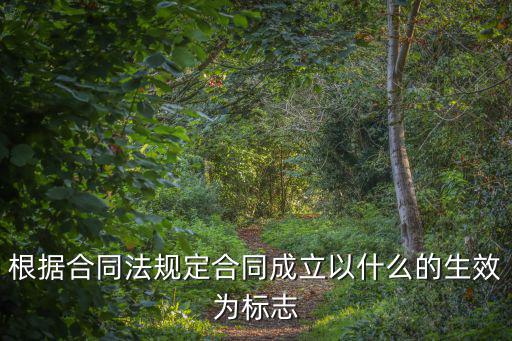 根據(jù)合同法規(guī)定合同成立以什么的生效為標(biāo)志