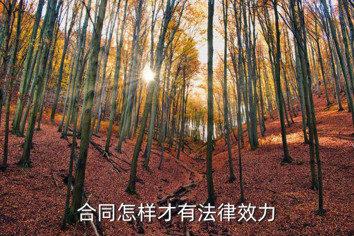合同怎樣才有法律效力