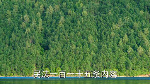 民法一百一十五條內(nèi)容