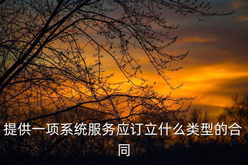 提供一項系統(tǒng)服務(wù)應(yīng)訂立什么類型的合同