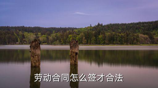 勞動合同怎么簽才合法