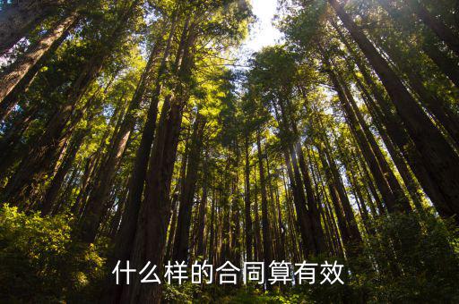 什么樣的合同算有效