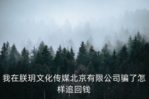 我在朕玥文化傳媒北京有限公司騙了怎樣追回錢