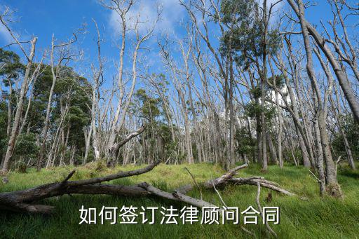 如何簽訂法律顧問合同
