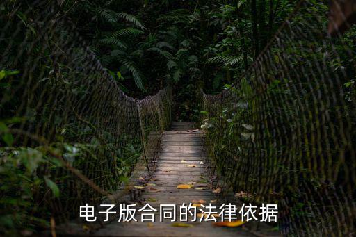 電子合同的基本法律問題，電子版合同的法律依據(jù)