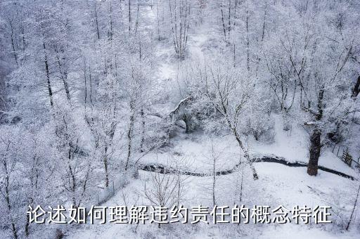 論述如何理解違約責(zé)任的概念特征