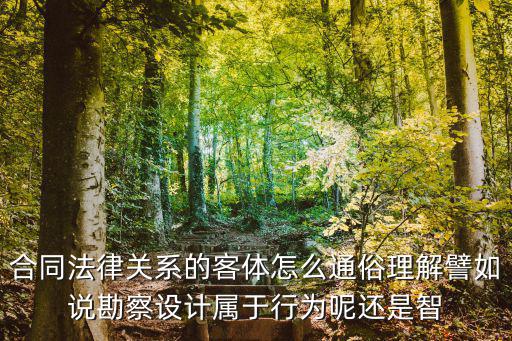 合同法律關(guān)系的客體怎么通俗理解譬如說勘察設(shè)計屬于行為呢還是智