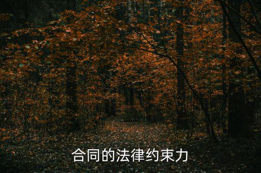 合同的法律約束力