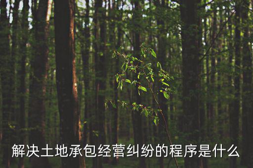 解決土地承包經(jīng)營(yíng)糾紛的程序是什么