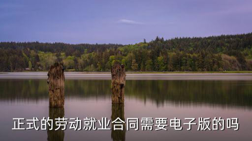 電子版勞務(wù)合同，正式的勞動(dòng)就業(yè)合同需要電子版的嗎