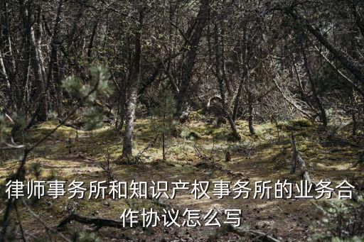 律師事務所和知識產(chǎn)權事務所的業(yè)務合作協(xié)議怎么寫