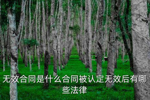 民法典 合同法無效，無效合同是什么合同被認(rèn)定無效后有哪些法律
