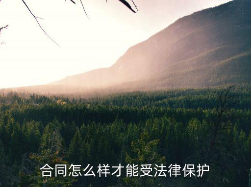 合同怎么樣才能受法律保護