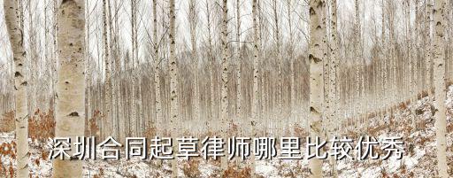 深圳本地合同法律師怎么找，深圳找合同糾紛律師最個最好