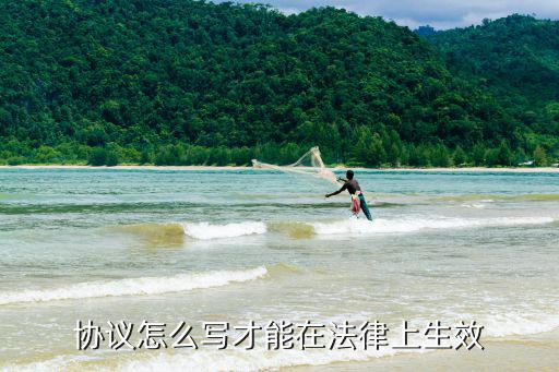 協(xié)議怎么寫才能在法律上生效