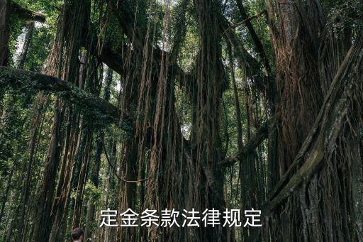定金條款法律規(guī)定