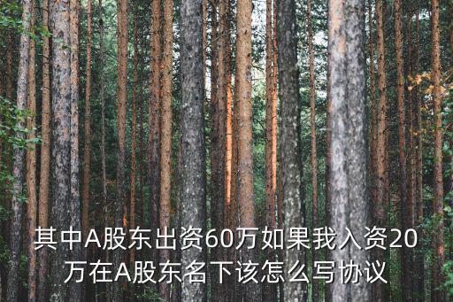 其中A股東出資60萬如果我入資20萬在A股東名下該怎么寫協(xié)議