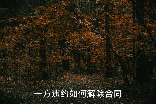 一方違約如何解除合同