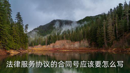 法律服務(wù)協(xié)議的合同號(hào)應(yīng)該要怎么寫(xiě)