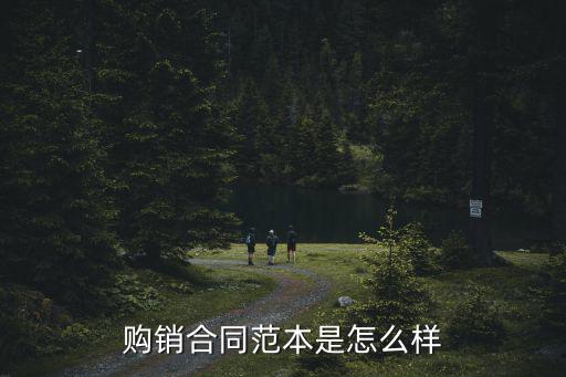 購銷合同范本是怎么樣