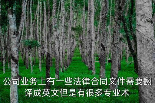 公司業(yè)務(wù)上有一些法律合同文件需要翻譯成英文但是有很多專(zhuān)業(yè)術(shù)