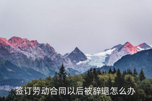 簽訂勞動合同以后被辭退怎么辦