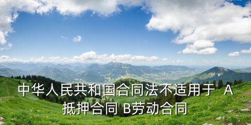 中華人民共和國(guó)合同法不適用于  A抵押合同 B勞動(dòng)合同