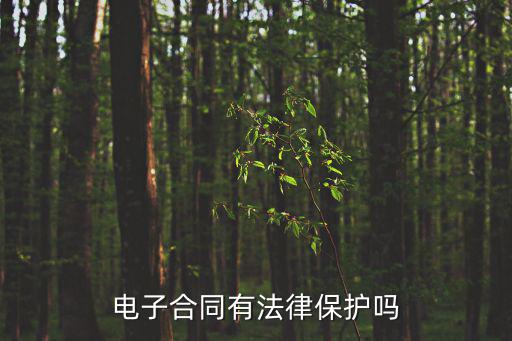 電子合同有法律保護嗎