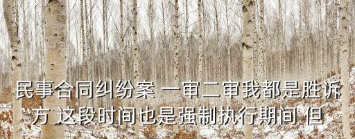 民事合同糾紛案 一審二審我都是勝訴方 這段時間也是強制執(zhí)行期間 但