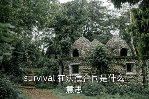 survival 在法律合同是什么意思