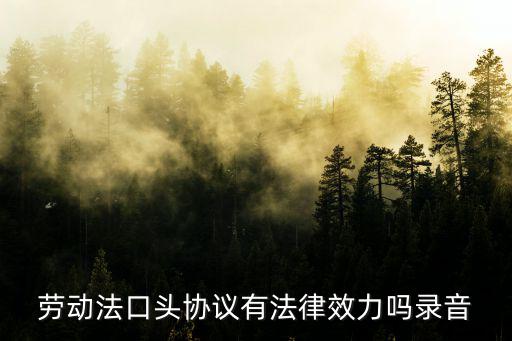 勞動(dòng)合同中口頭協(xié)議有法律效力嗎，勞動(dòng)法口頭協(xié)議有法律效力嗎錄音