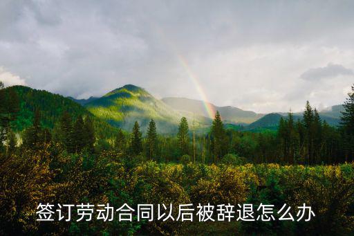 公司簽訂勞務(wù)協(xié)議后辭退怎么辦，簽訂勞動(dòng)合同后公司辭退員工應(yīng)該怎么做
