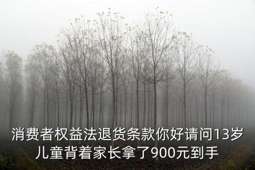 民法典消費(fèi)者退款，消法第45條司法解釋關(guān)于退貨扣除折舊費(fèi)的問(wèn)題