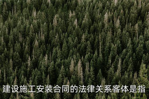 建設(shè)施工安裝合同的法律關(guān)系客體是指