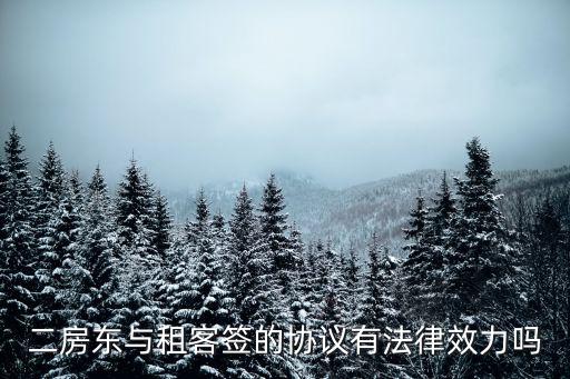 二房東的合同法律認(rèn)可嗎，二房東與租客簽的協(xié)議有法律效力嗎